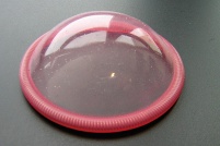 Diaphragme