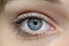 Soins des lentilles: ce qu'il faut faire