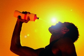 Sportler sollten während dem Training etwa 0,8 Liter pro Stunde trinken.