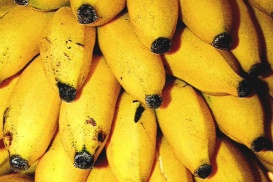 Les produits équitables séduisent les consommateurs, notamment les bananes et le café.