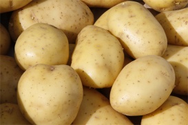 Les pommes de terre sont indiquées en cas de rhumatisme. 