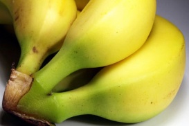 Les bananes permettent d’éviter les petits coups de barre.