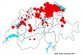 Bekannte FSME-Endemiegebiete in der Schweiz.