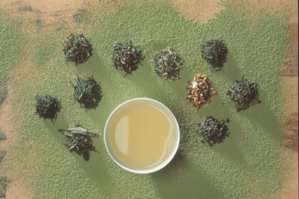 Grüner Tee – gesunder Genuss | vitagate