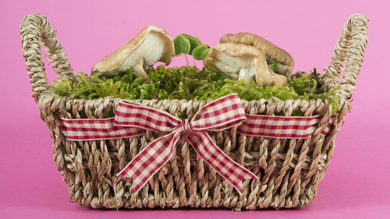 Une corbeille en aille avec de la mousse et des champignons posés dessus.