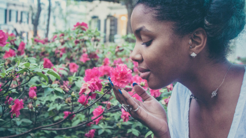 Une femme sent le parfum de fleurs roses