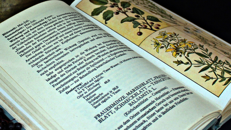 Ein altes Pflanzenbuch, auf der rechten Buchseite die Zeichung der Heilpflanze, auf der linken die Beschreibung