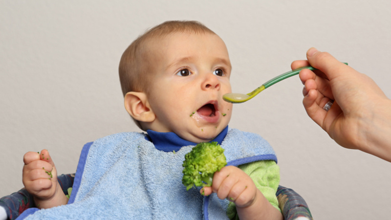 Alimentation enfants légumes refus: un bébé avec une bavette bleu qui tient un brocoli dans la main et qui ouvre la bouche pour manger la cuillère qu'on lui tend.