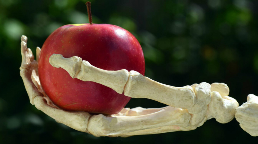 Ein Apfel in der Hand eines Skeletts