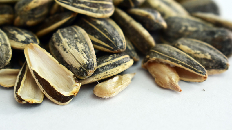 Des graines de tournesol