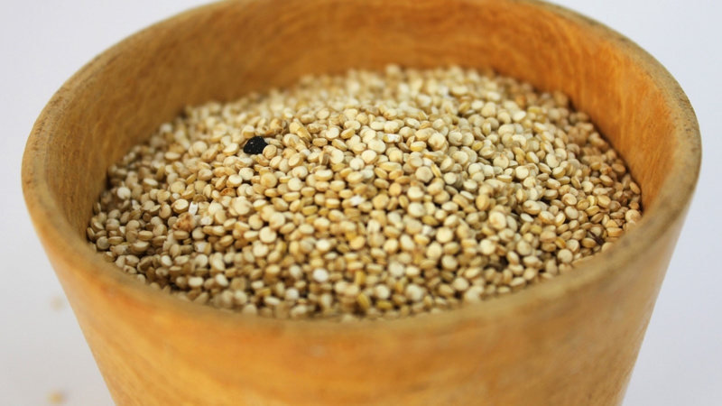 Amaranth in einem Topf