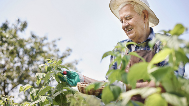 Un vieil homme avec un chapeau dans un jardin