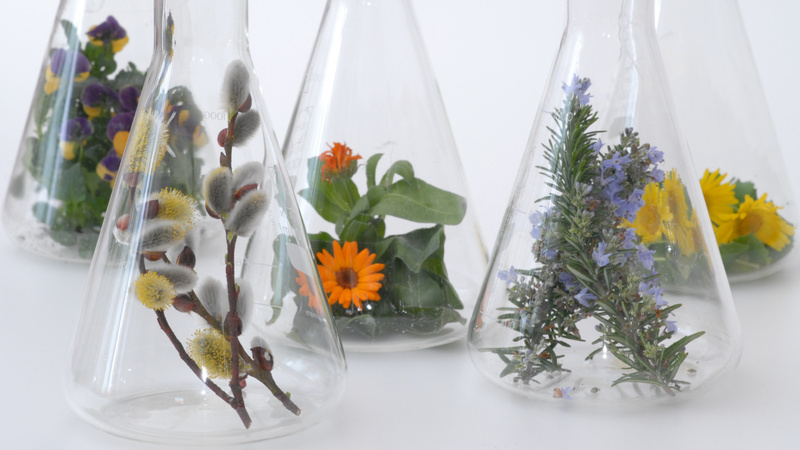 Verdauung, Beschwerden: Gläser gefüllt mit Pflanzen