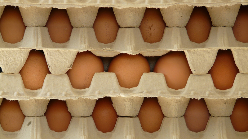 Des plateaux d'oeufs les uns sur les autres.