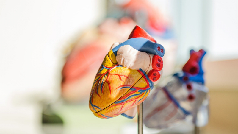 Abc der Herzkrankheiten