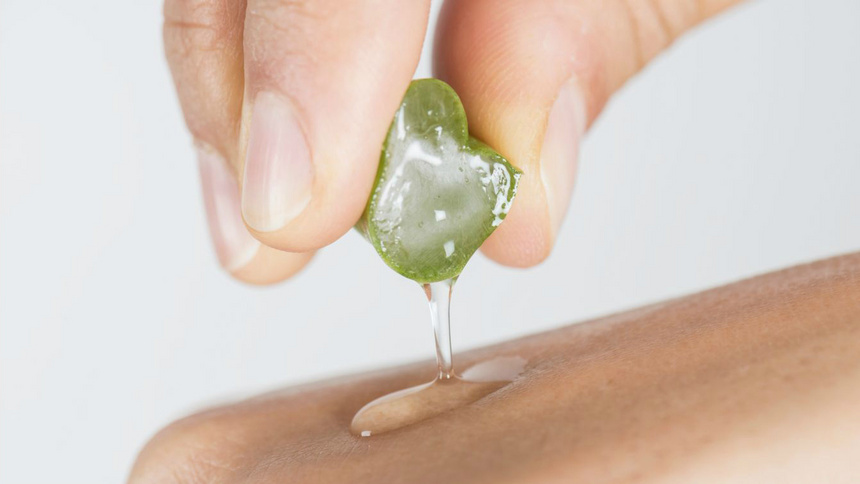 Ein Stück Aloe Vera, das auf eine Hand tropft
