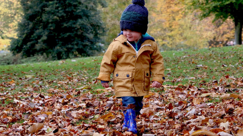 Ein kleines Kind spaziert über eine Herbstwiese. Darauf liegt Laub.