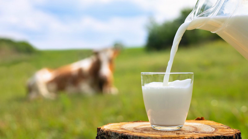 Ernährung, Kohlenhydrate, Milch: ein Glas Milch, das auf einem Feld serviert wird