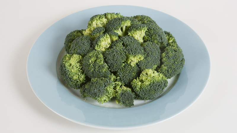 Un brocoli posé sur une assiette blanche avec un bord bleu clair