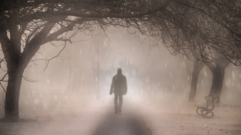 Eine düstere Allee im Schneeregen, auf dem Weg in der Mitte sieht man eine schemenhafte Gestalt von hinten