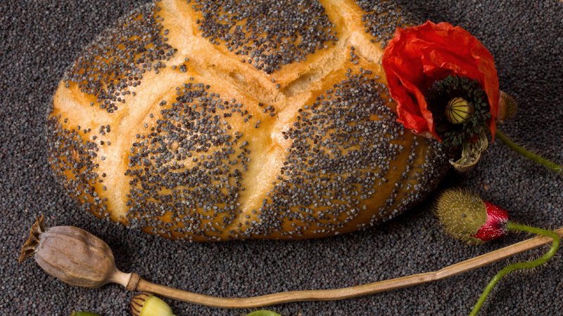 Des graines de pavot