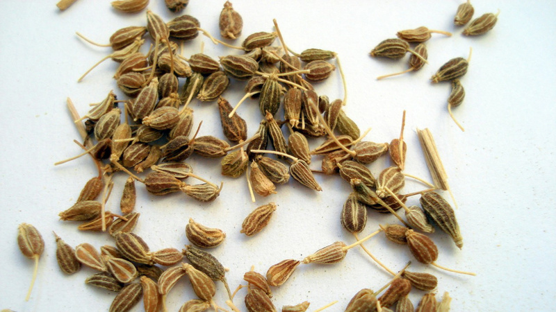 Des graines d'anis