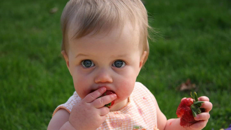 Baby, Nahrung, Essen: Baby steckt sich eine Erdbeere in den Mund und hält in der anderen Hand eine zweite