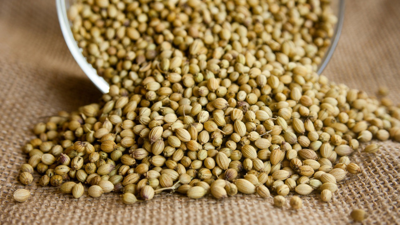 Des grains de coriandre
