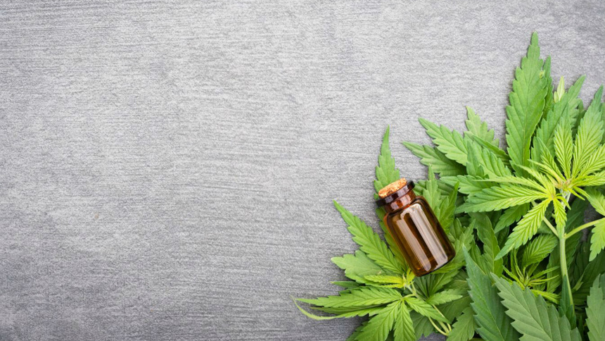Hanf, CBD, Cannabidiol, Medizin: Hanfpflanzen.