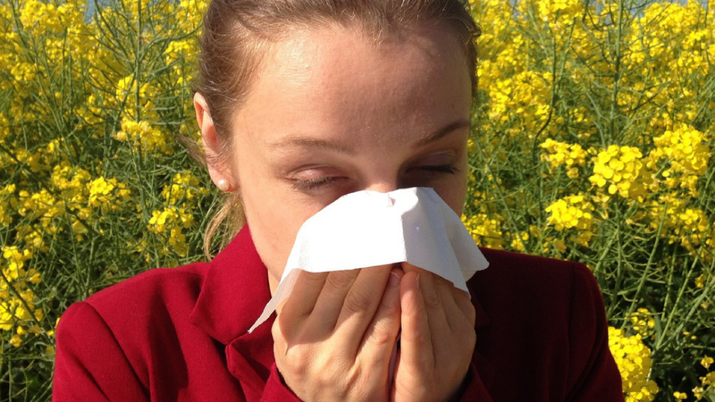 Allergien, Heuschnupfen, Pollenallergie, Desensibilisieren: Eine Frau schnäuzt die Nase.