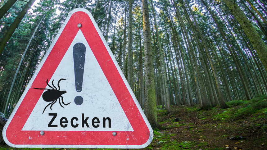 Conseils tiques protection: un chemin de forêt avec devant un panneau 