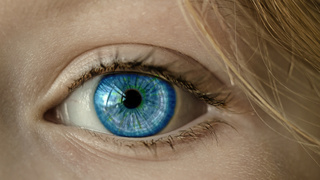 Irisdiagnostik Blick In Die Augen Vitagate