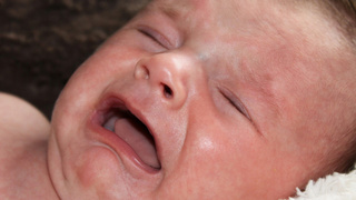 Pourquoi Les Bebes N Ont Pas De Larmes Vitagate Pourquoi Les Bebes N Ont Pas De Larmes Vitagate